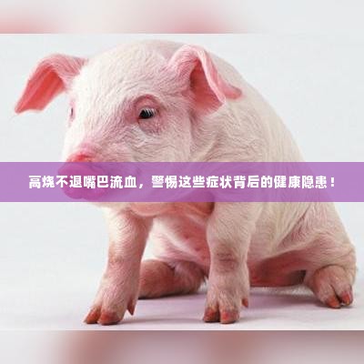 高烧不退嘴巴流血,警惕这些症状背后的健康隐患!