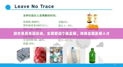 综合素质专题训练,全面塑造个体发展,培养全面发展人才