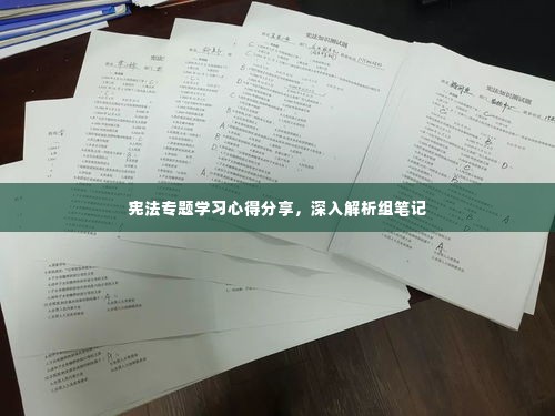 宪法专题学习心得分享,深入解析组笔记