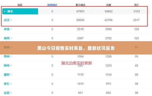 黑山今日疫情实时更新,最新状况报告