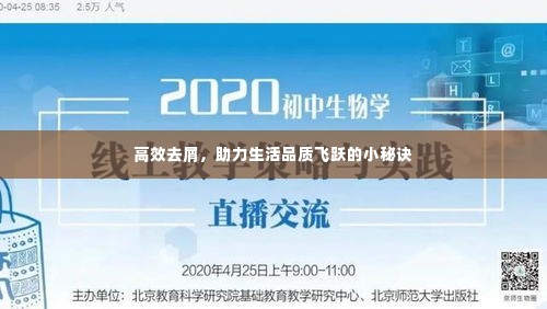 高效去屑,助力生活品质飞跃的小秘诀