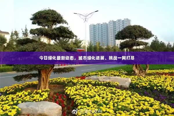 今日绿化最新动态，城市绿化进展、挑战一网打尽