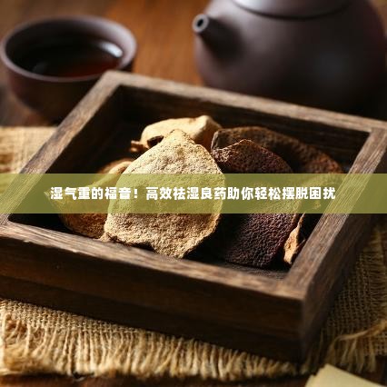 湿气重的福音!高效祛湿良药助你轻松摆脱困扰