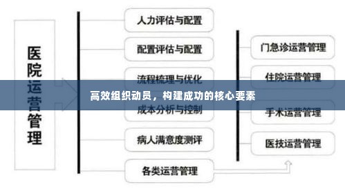 高效组织动员,构建成功的核心要素