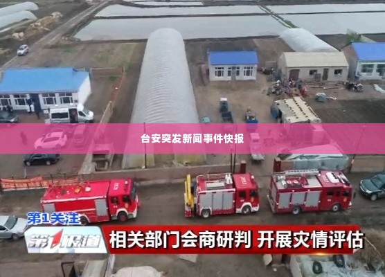 台安突发新闻事件快报