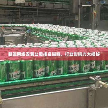 新疆网络安装公司排名揭晓,行业影响力大揭秘