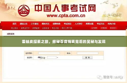 雷蛙皮探索之旅,揭秘百度搜索背后的奥秘与发现