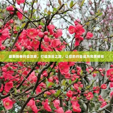 最新阳春约会攻略,打造浪漫之旅,让你的约会成为完美体验