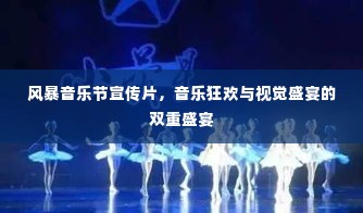 风暴音乐节宣传片，音乐狂欢与视觉盛宴的双重盛宴