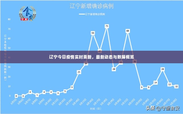 辽宁今日疫情实时更新,最新动态与数据概览