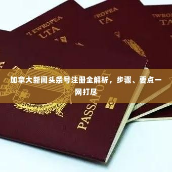 加拿大新闻头条号注册全解析，步骤、要点一网打尽