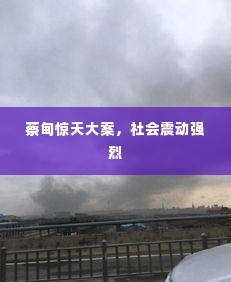 蔡甸惊天大案，社会震动强烈