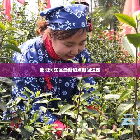 邵阳河东区最新热点新闻速递