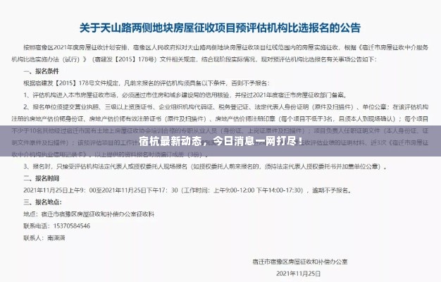宿杭最新动态,今日消息一网打尽!