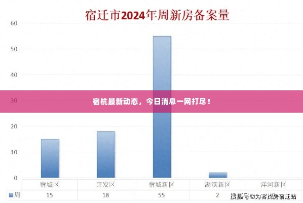 宿杭最新动态,今日消息一网打尽!