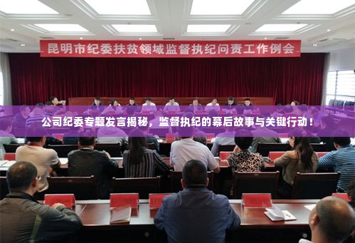 公司纪委专题发言揭秘,监督执纪的幕后故事与关键行动!
