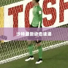 沙特最新动态速递