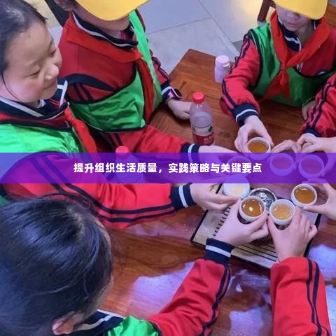 提升组织生活质量,实践策略与关键要点
