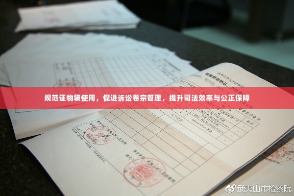 规范证物袋使用,促进诉讼卷宗管理,提升司法效率与公正保障
