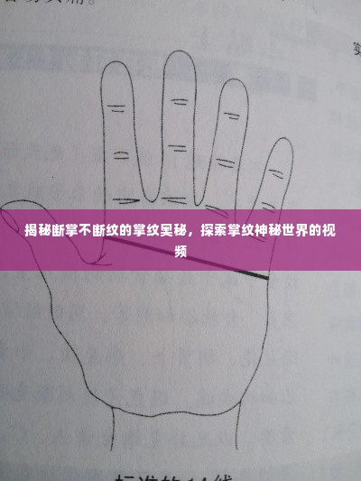 揭秘断掌不断纹的掌纹奥秘,探索掌纹神秘世界的视频