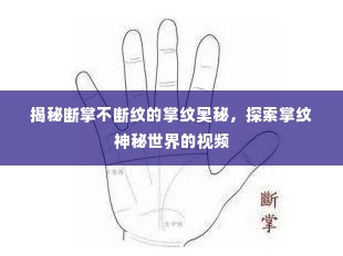 揭秘断掌不断纹的掌纹奥秘,探索掌纹神秘世界的视频