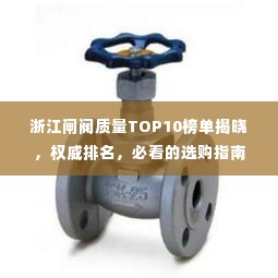 浙江闸阀质量TOP10榜单揭晓，权威排名，必看的选购指南