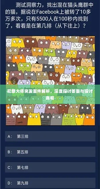 犯罪大师突发案件解析,深度探讨答案与探讨真相