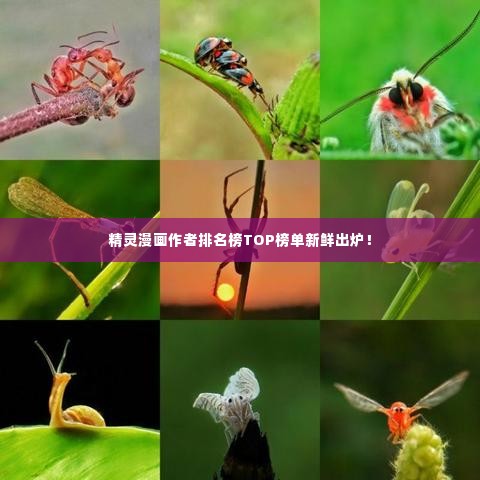 精灵漫画作者排名榜TOP榜单新鲜出炉！