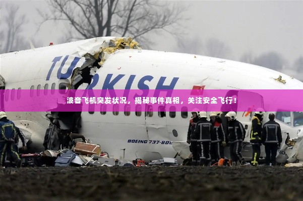 波音飞机突发状况,揭秘事件真相,关注安全飞行!